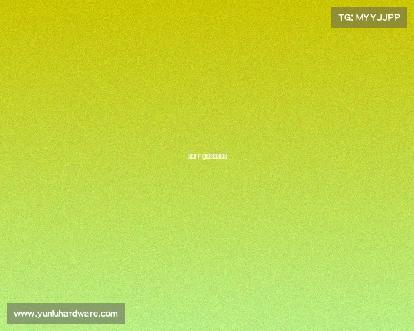 上海rng俱乐部怎么样