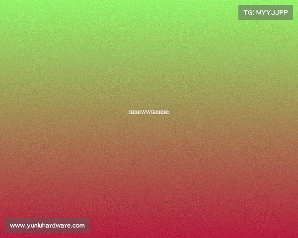 巅峰对决：WWG电竞荣耀之路